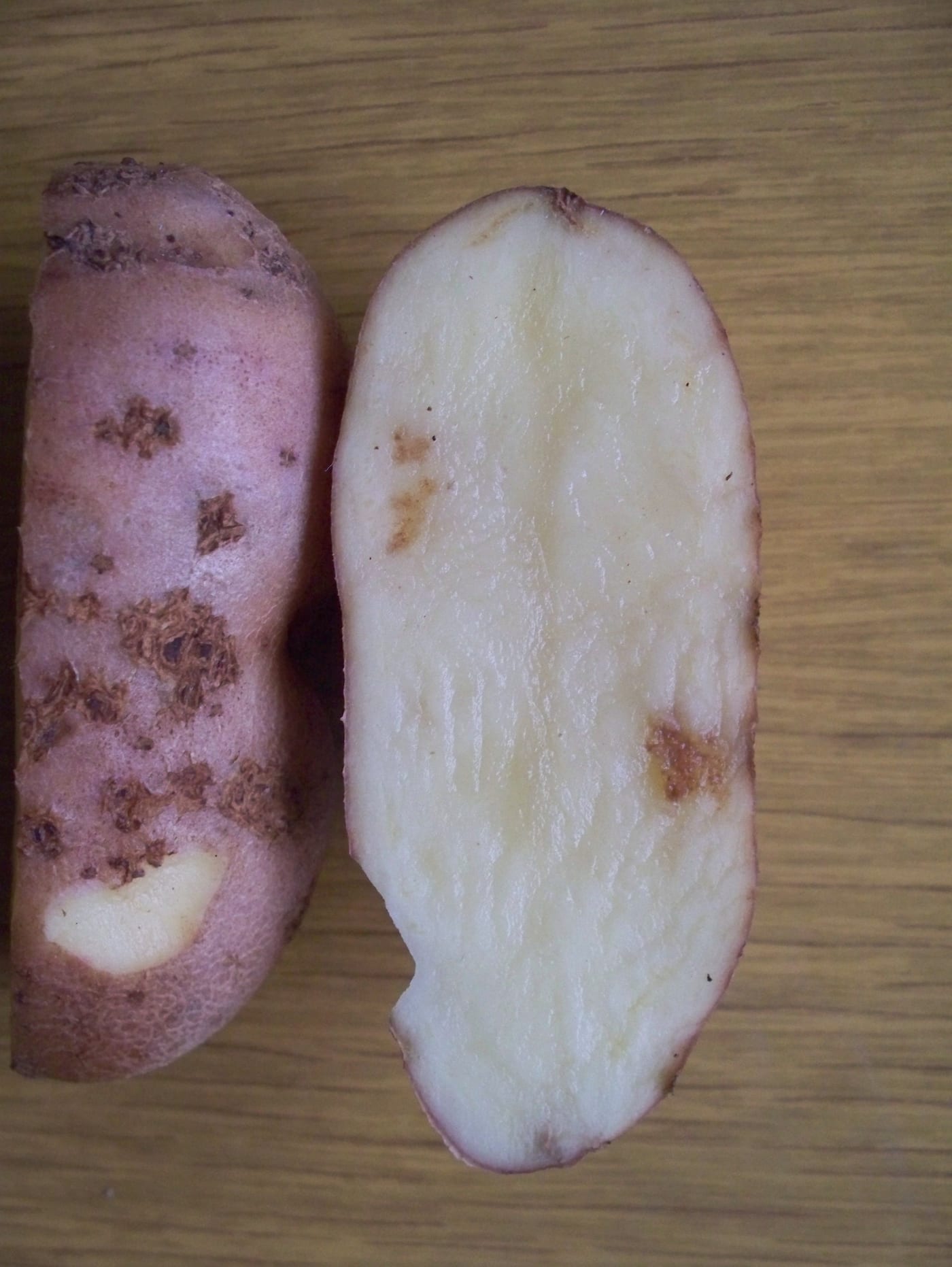 Raised, corky, dark scabby patches on the surface of a red-skinned potato, a cut cross-section showing the damage stays skin-deep.