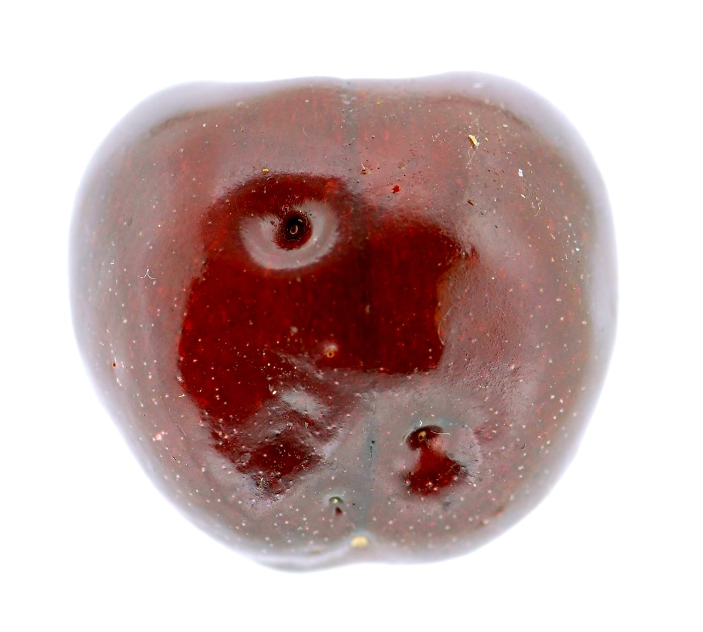 A ripe cherry with several small sunken puncture marks from spotted wing drosophila egg-laying.